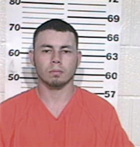 Adrain Licea, - Hidalgo County, TX 