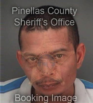 David Lopez, - Pinellas County, FL 