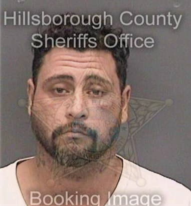 Daniel Mendoza - Hillsborough County, FL 