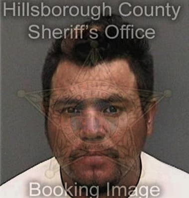 Sebastian Ramirezrodriguez, - Hillsborough County, FL 