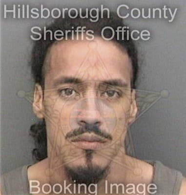 Kevin Vasquezturcios, - Hillsborough County, FL 