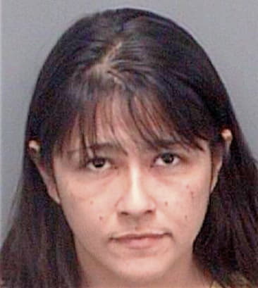 Maria Dejesusvargas, - Pinellas County, FL 