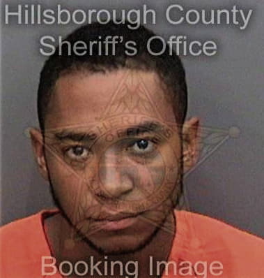 Alfonso Griffin, - Hillsborough County, FL 