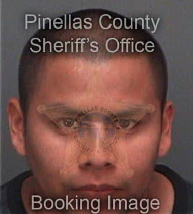 Luis Guinand, - Pinellas County, FL 