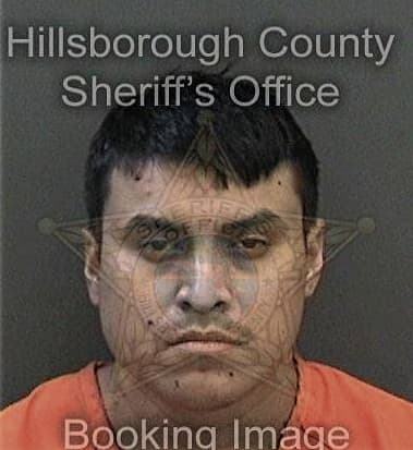 Moises Martinezgalan, - Hillsborough County, FL 