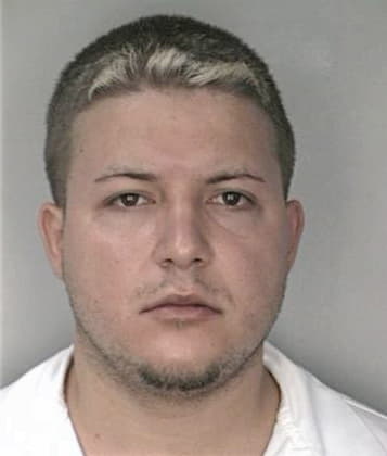 Shawn McGlaun - Hillsborough County, FL 