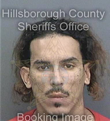 Dennis Wilson, - Hillsborough County, FL 