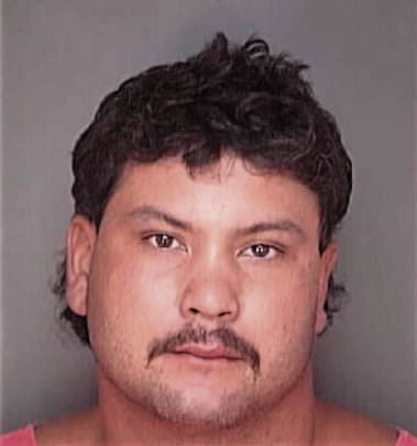 Dennis Bolynn - Polk County, FL 