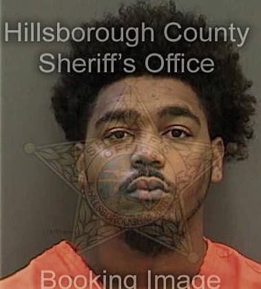 Benedict McQueen - Hillsborough County, FL 