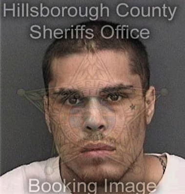 Carlos Muniztorres, - Hillsborough County, FL 