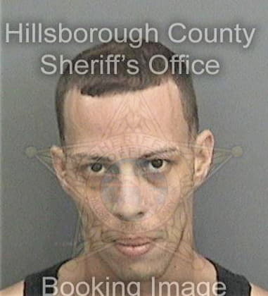 Thomas Fields, - Hillsborough County, FL 