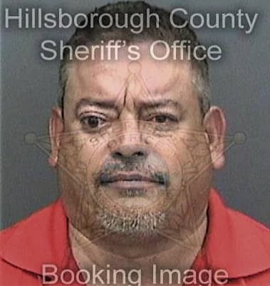 Ismael Lopezlopez, - Hillsborough County, FL 