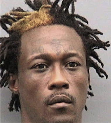 Andre Williams - Hillsborough County, FL 