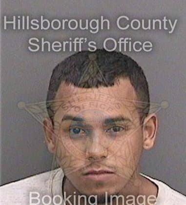 Jesus Castro, - Hillsborough County, FL 