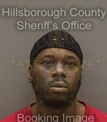 Michael Johnson, - Hillsborough County, FL 