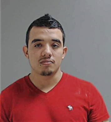 Everardo Alvarez, - Hidalgo County, TX 