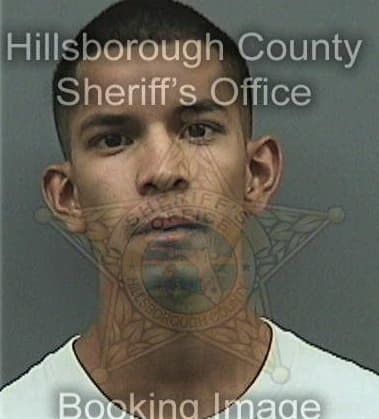 Jason Delp, - Hillsborough County, FL 