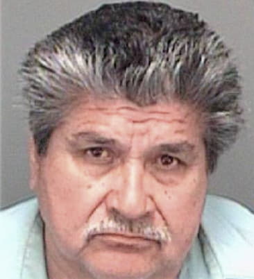 Alfredo Diazramirez, - Pinellas County, FL 