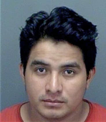 Abel Gilcruz, - Pinellas County, FL 