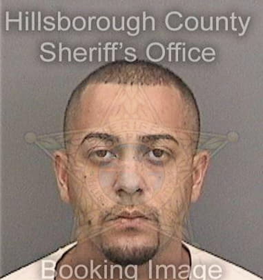 Jay Goldstein, - Hillsborough County, FL 