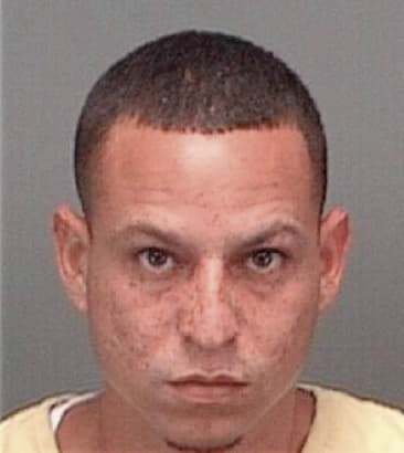 Juan Ledezmamartinez, - Pinellas County, FL 