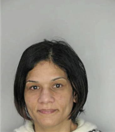 Lisa McVeigh - Hillsborough County, FL 