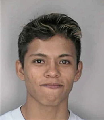 Jose Mendozamedina - Hillsborough County, FL 