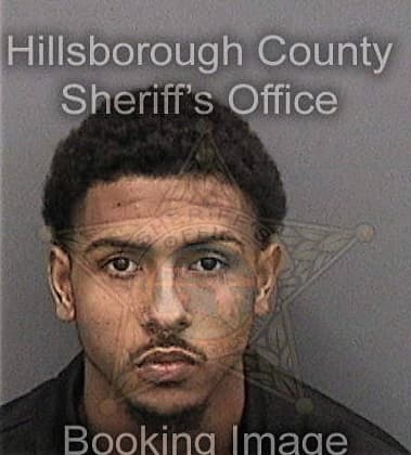 Andrew Vilelaherring, - Hillsborough County, FL 