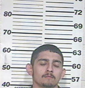 Azael Alfaro, - Hidalgo County, TX 