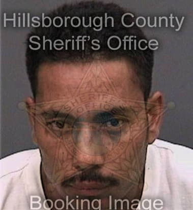 Jose Castillo, - Hillsborough County, FL 