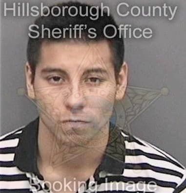 Michael Demonte, - Hillsborough County, FL 