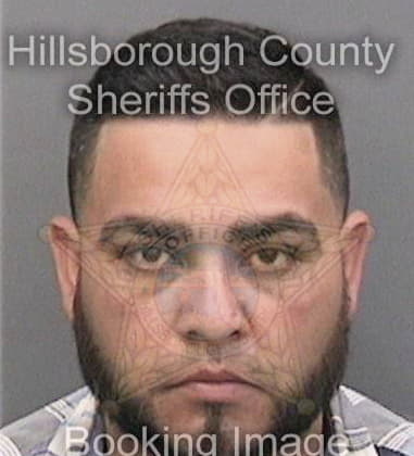 Ronald Depalma, - Hillsborough County, FL 