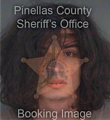 Patrick Oneill, - Pinellas County, FL 