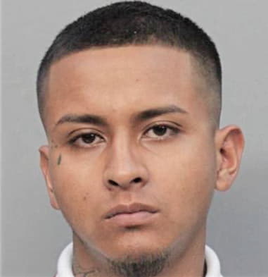 Luis Romansalteado, - Dade County, FL 