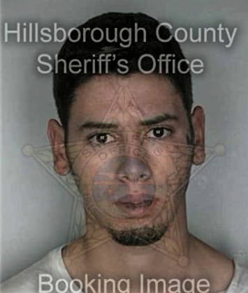 Maximo Salinasmartinez, - Hillsborough County, FL 