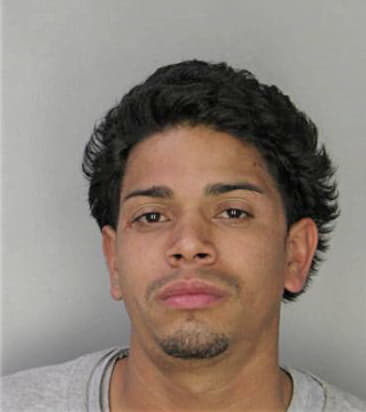 Francisco Vega, - Hillsborough County, FL 