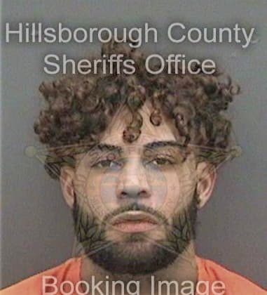 Christopher Cobb - Hillsborough County, FL 