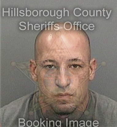 Aramis Falconfigueroa, - Hillsborough County, FL 