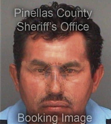 Carlos Garcia, - Pinellas County, FL 