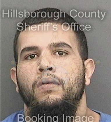 Jaime Garcialuis, - Hillsborough County, FL 