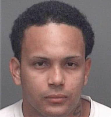 Erasmo Panzo-Panzo, - Pinellas County, FL 