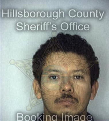 Carlos Sanchez, - Hillsborough County, FL 