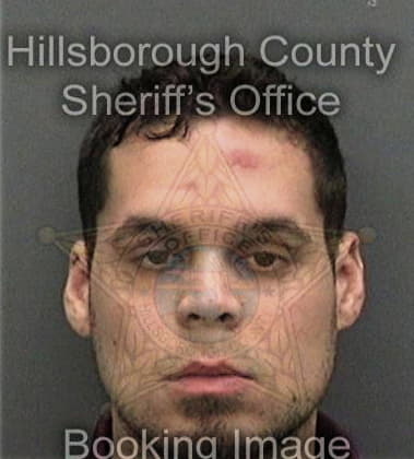 Pedro Sanchez, - Hillsborough County, FL 