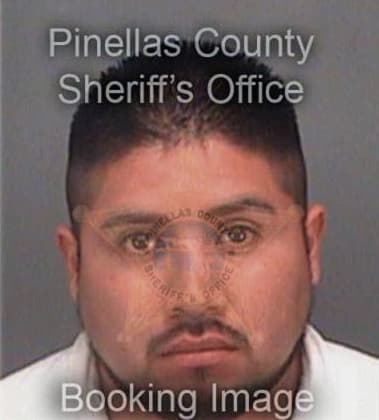 Juan Sanchezmartinez, - Pinellas County, FL 