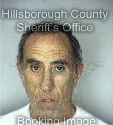 Michael Simon, - Hillsborough County, FL 