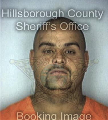 Patrick Clark - Hillsborough County, FL 