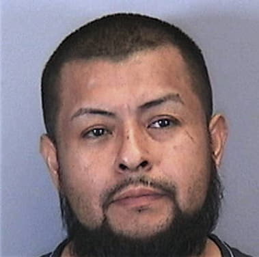 Jose Gonzalez, - Manatee County, FL 