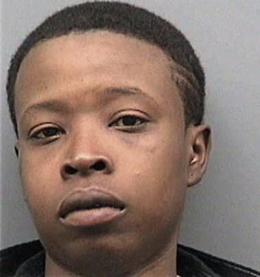 Cynthia Hicks - Hillsborough County, FL 