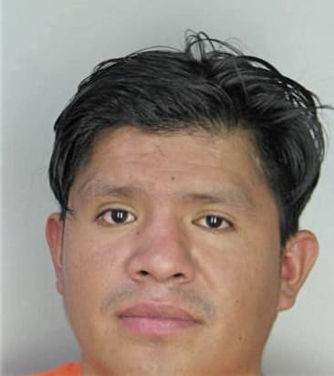 Michael Mattingly - Hillsborough County, FL 