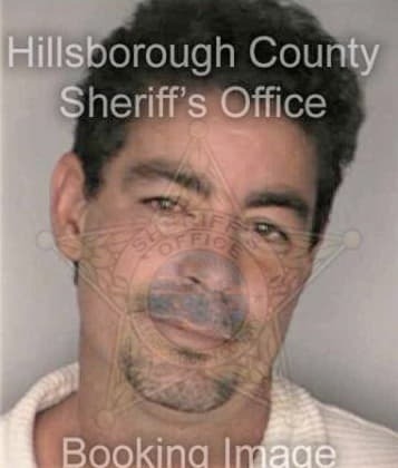 Hugo Oyarvide, - Hillsborough County, FL 